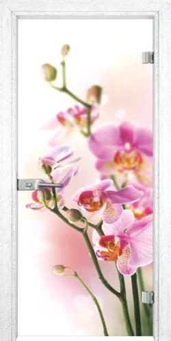 Стъклена Врата Gama Print G 13-2 Бреза