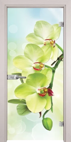 Стъклена Врата Gama Print G 13-3 Green Перла