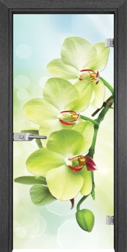 staklena-vrata-gama-print-g-13-3-green-g Стъклена Врата Gama Print G 13-3 Green Сив Кестен