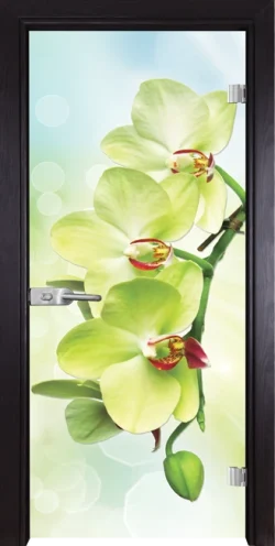 Стъклена Врата Gama Print G 13-3 Green Венге