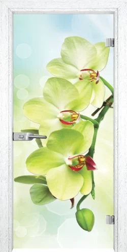 Стъклена Врата Gama Print G 13-3 Green Бреза