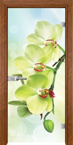 Стъклена Врата Gama Print G 13-3 Green Златен Дъб