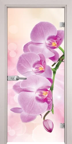 Стъклена Врата Gama Print G 13-3 Pink Перла