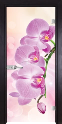 Стъклена Врата Gama Print G 13-3 Pink Венге