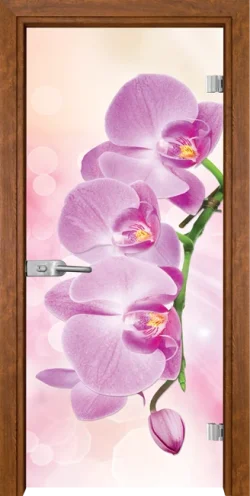 Стъклена Врата Gama Print G 13-3 Pink Златен Дъб