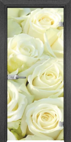 Стъклена Врата Gama Print G 13-6 Сив Кестен