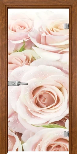 Стъклена Врата Gama Print G 13-7 Златен Дъб